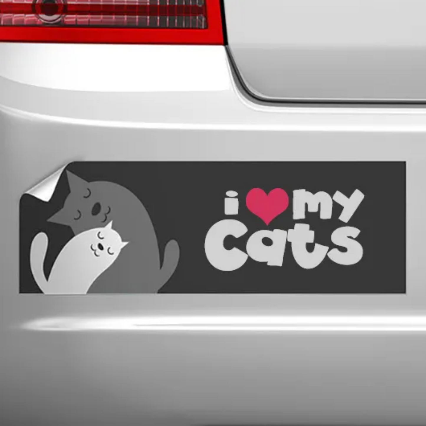 Adhesive Vinyl Bumper Sticker